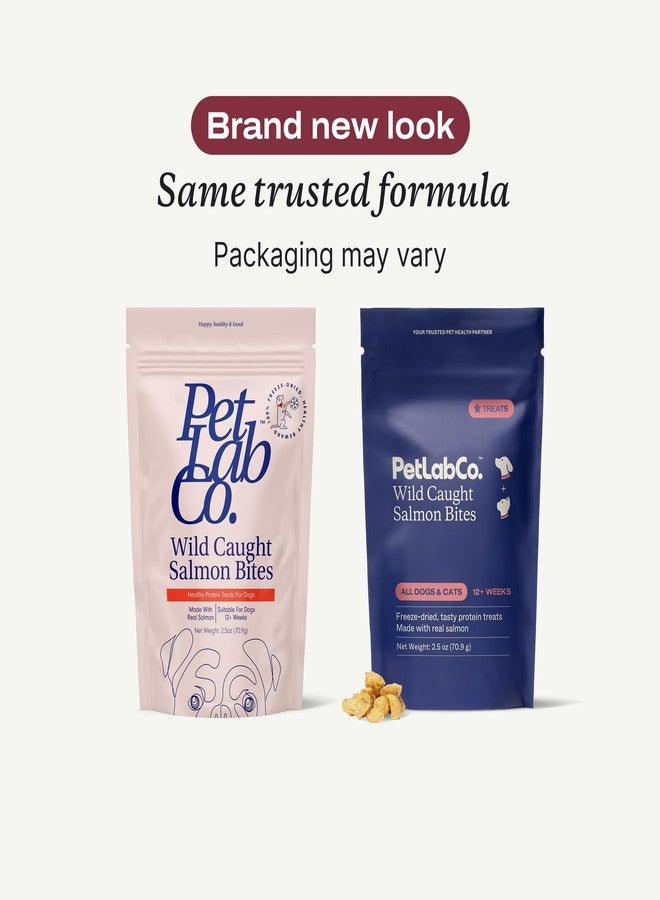 Petlab Co. Wild Caught Salmon Freeze-Dried Dog Treats, Support Overall Skin Health with Healthy Dog Treats, Packed with Beneficial Fatty Acids, Vitamins, & Minerals - Packaging May Vary - Image 2